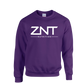 ZNT Pullover