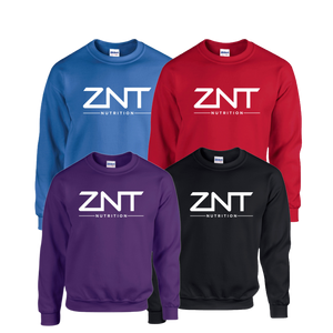 ZNT Pullover