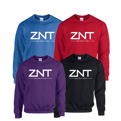 ZNT Pullover