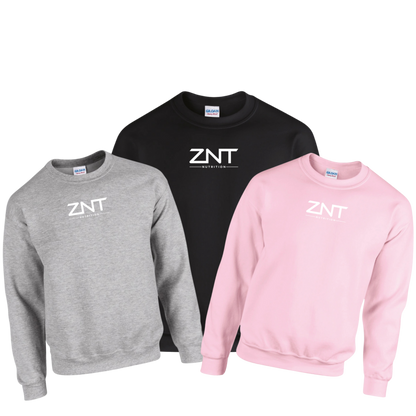 ZNT Pullover