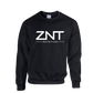 ZNT Pullover