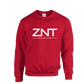 ZNT Pullover