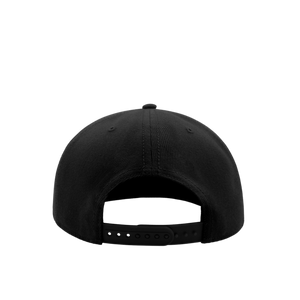 ZNT Nutrition Snap Back Cap (8135460618504)
