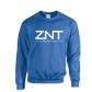 ZNT Pullover